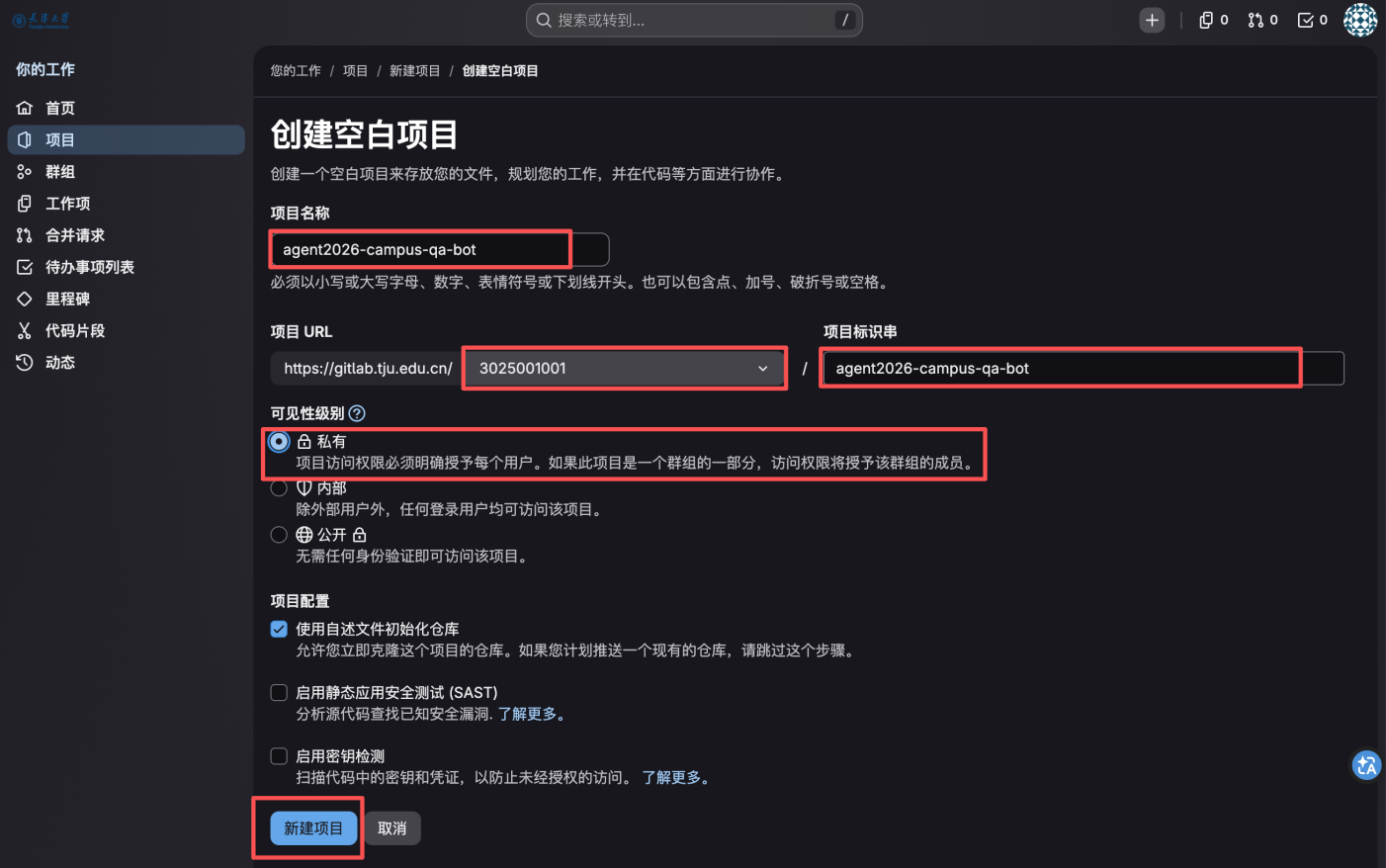 填写项目信息